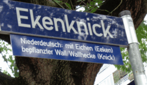 Straßenschild mit der Aufschrift "Ekenknick", darunter die Erklärung: "Niederdeutsch: mit Eichen (Eeken) bepflanzter Wall/Wallhecke (Knick)"